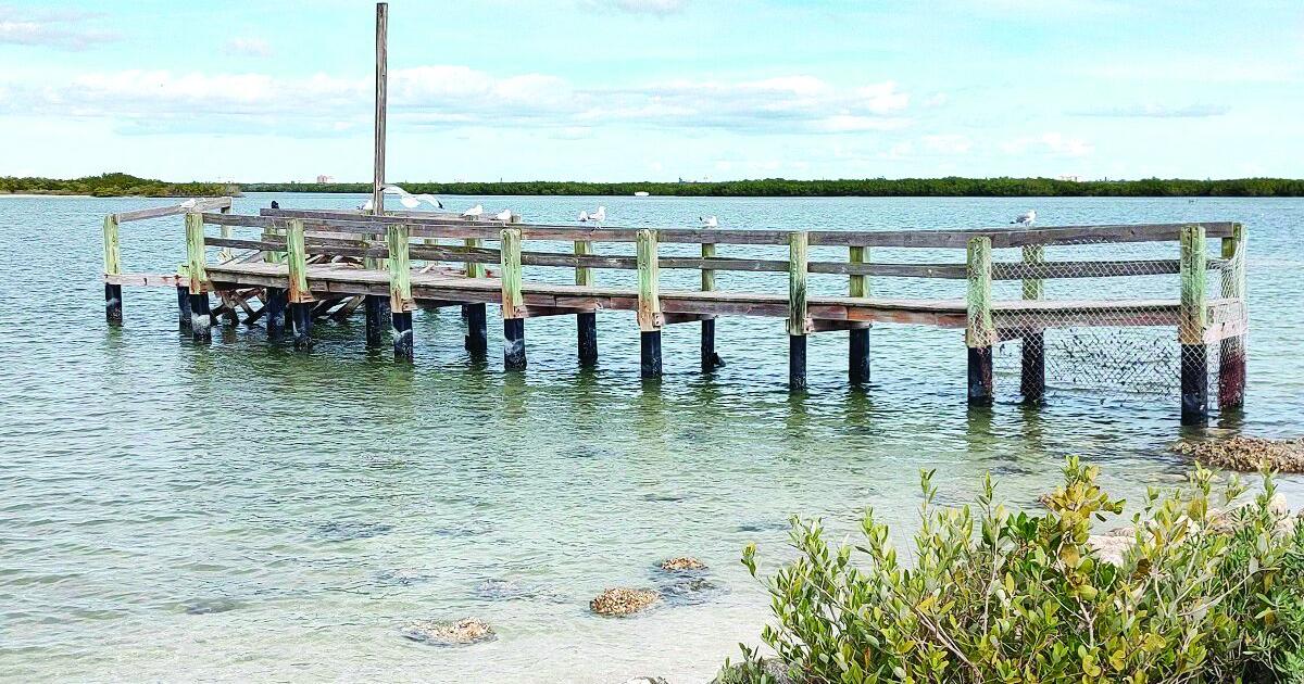 Edgewater dock set for long-awaited replacement