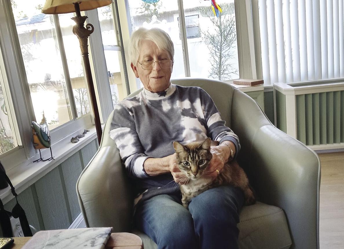 In Volusia County: Have cat (or dog), will travel | News |  hometownnewsvolusia.com