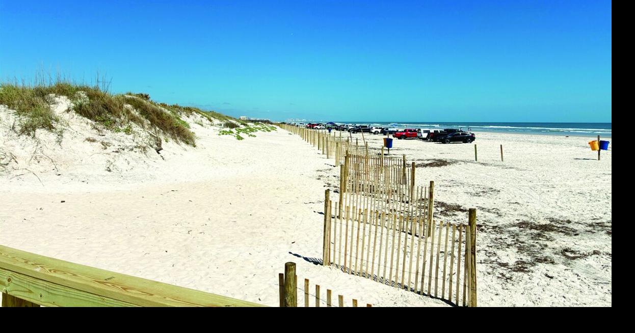 New fencing helps shape stronger dunes in Ponce Inlet