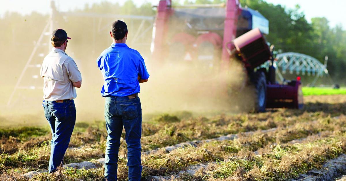 UF/IFAS offers bilingual online resources to farmers