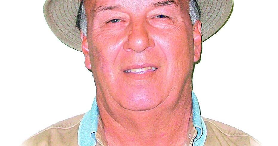 Fishing with Dan: Predict the shrimp run – rule the world!