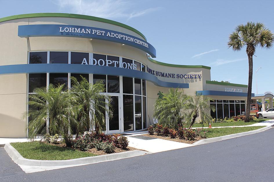 Renovated Hhs Building Is Doggone Beautiful News