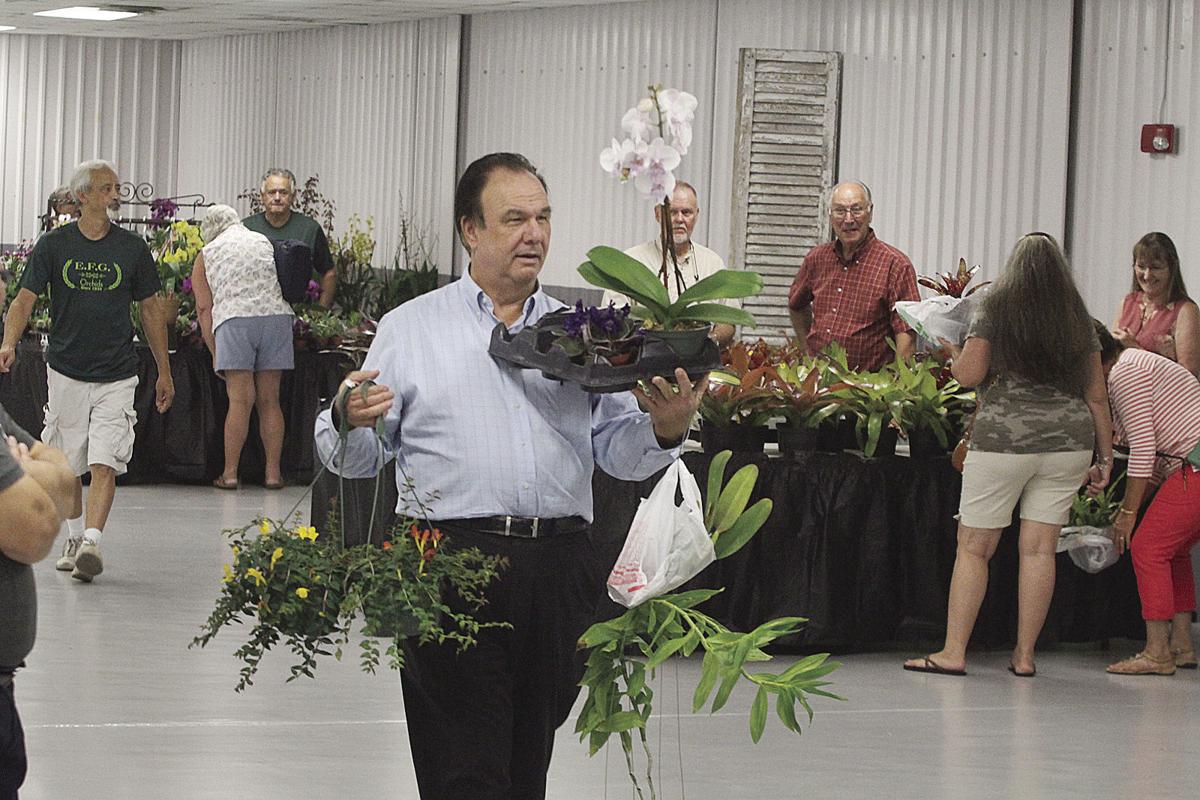 Volusia County Orchid Society S 24th Rocking With Orchids Expo At The Volusia County Fair Grounds Photos Videos Hometownnewsvolusia Com