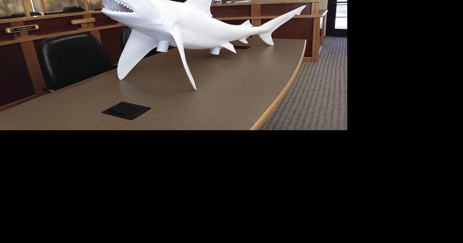 Calling All Shark Painters In New Smyrna Beach News Hometownnewsvolusia Com