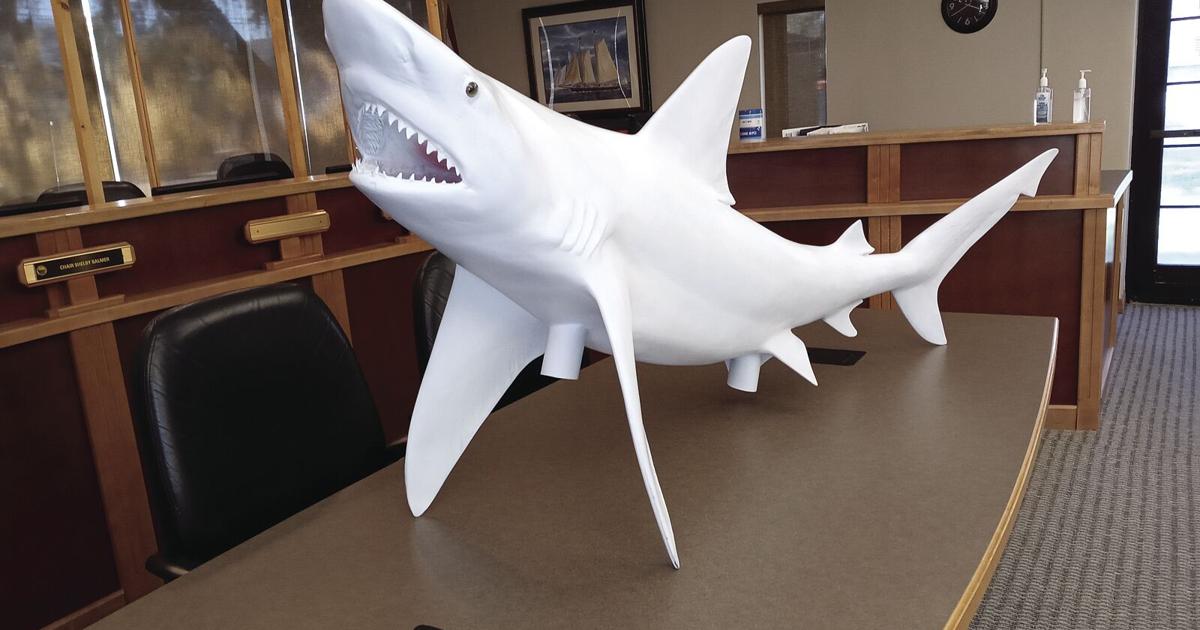 Calling All Shark Painters In New Smyrna Beach News Hometownnewsvolusia Com Calling All Shark Painters In New Smyrna Beach News Hometownnewsvolusia Com