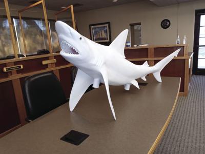 Calling All Shark Painters In New Smyrna Beach News Hometownnewsvolusia Com