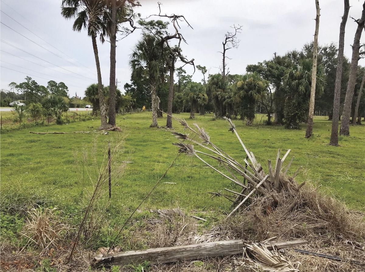 Court Orders New Smyrna Beach To Award Borrow Pit Permit News Hometownnewsvolusia Com Court Orders New Smyrna Beach To Award Borrow Pit Permit News Hometownnewsvolusia Com
