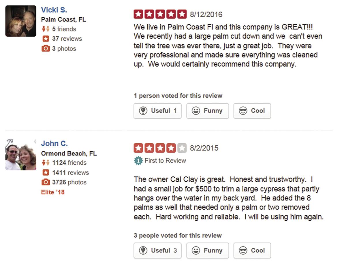 Atlantic Tree Service Llc Lawn Maintenance Services Palm Coast Fl Hometownnewsvolusia Com