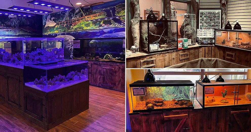 Bats, birds and gators take over Lyonia for Wildlife Festival