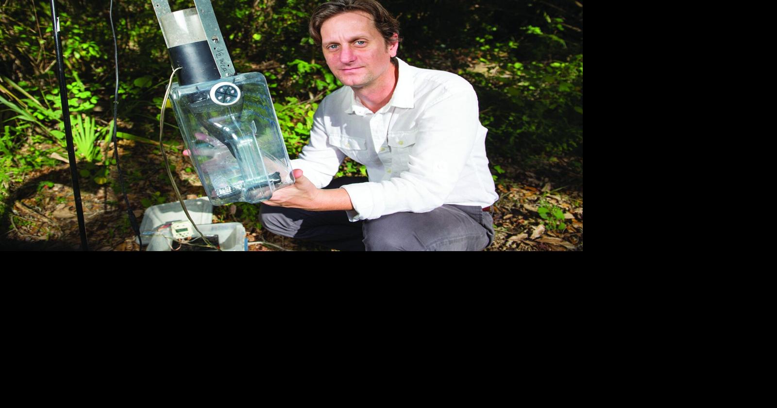 Sloth fever unlikely to spread via mosquitoes in Southeast U.S.