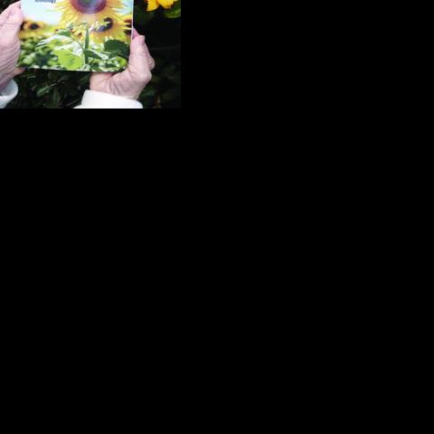 Poetry project supports Ukrainian orphans