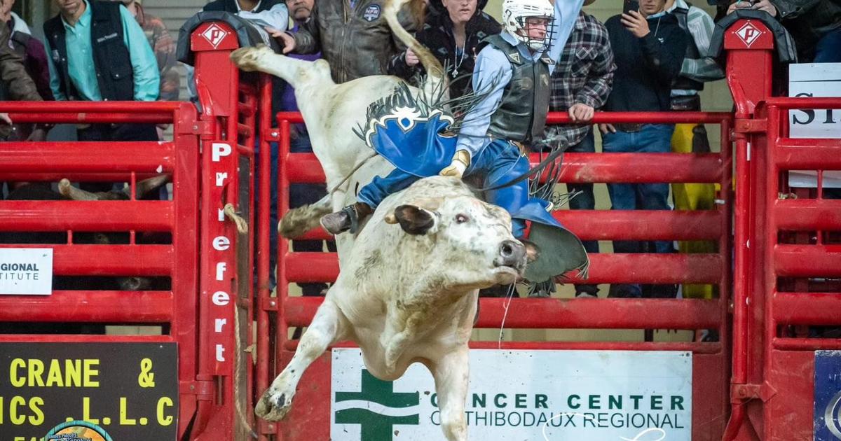 Bull Riding Delta Center Champion bull riding is back at the Ocean Center in Daytona | Sports ...