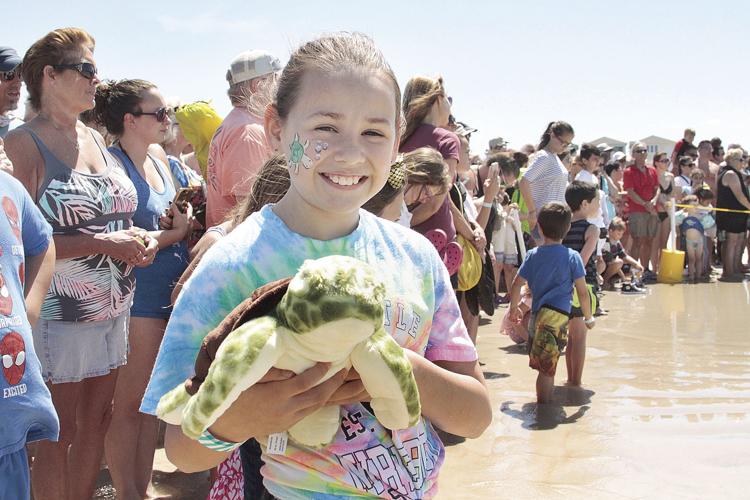 Ponce Inlet Turtle Maxwell the Sea Turtle gets released in Ponce Inlet | Photos & Videos ...