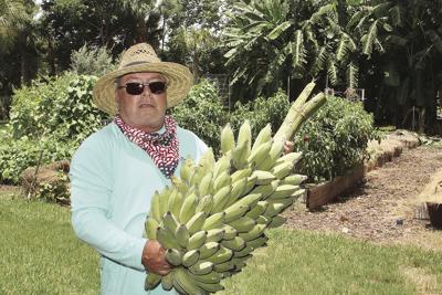 Backyard Farmer Grows Success News Hometownnewsvolusia Com