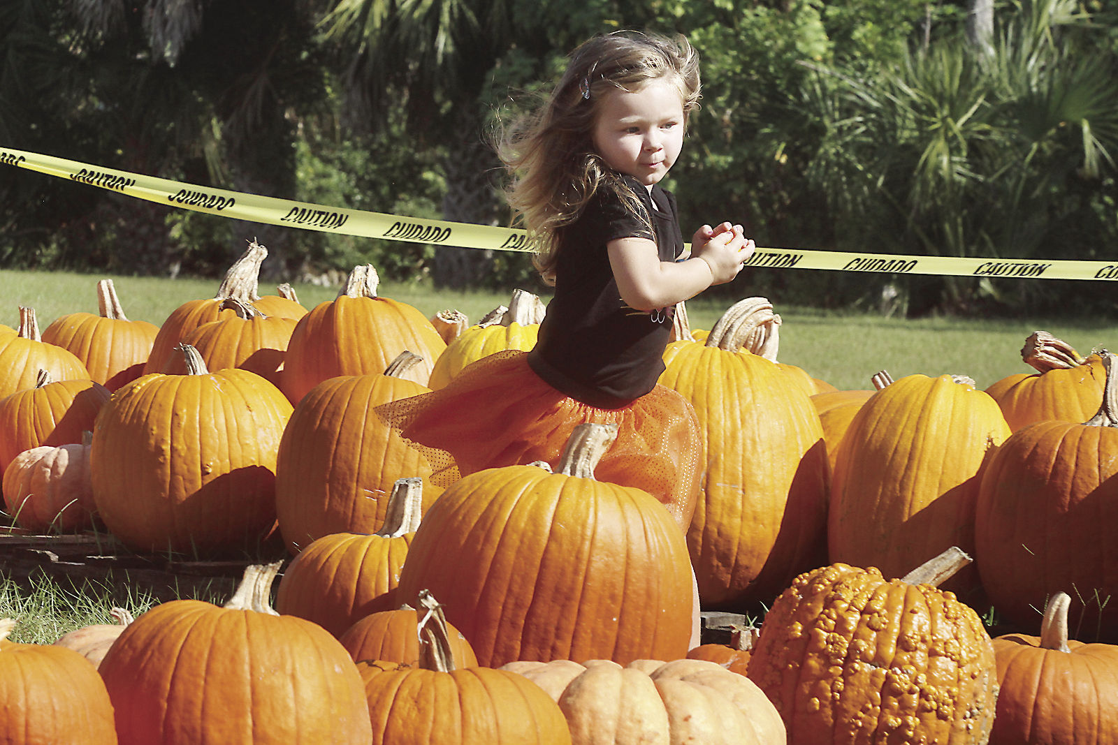 deland pumpkin patch 2021