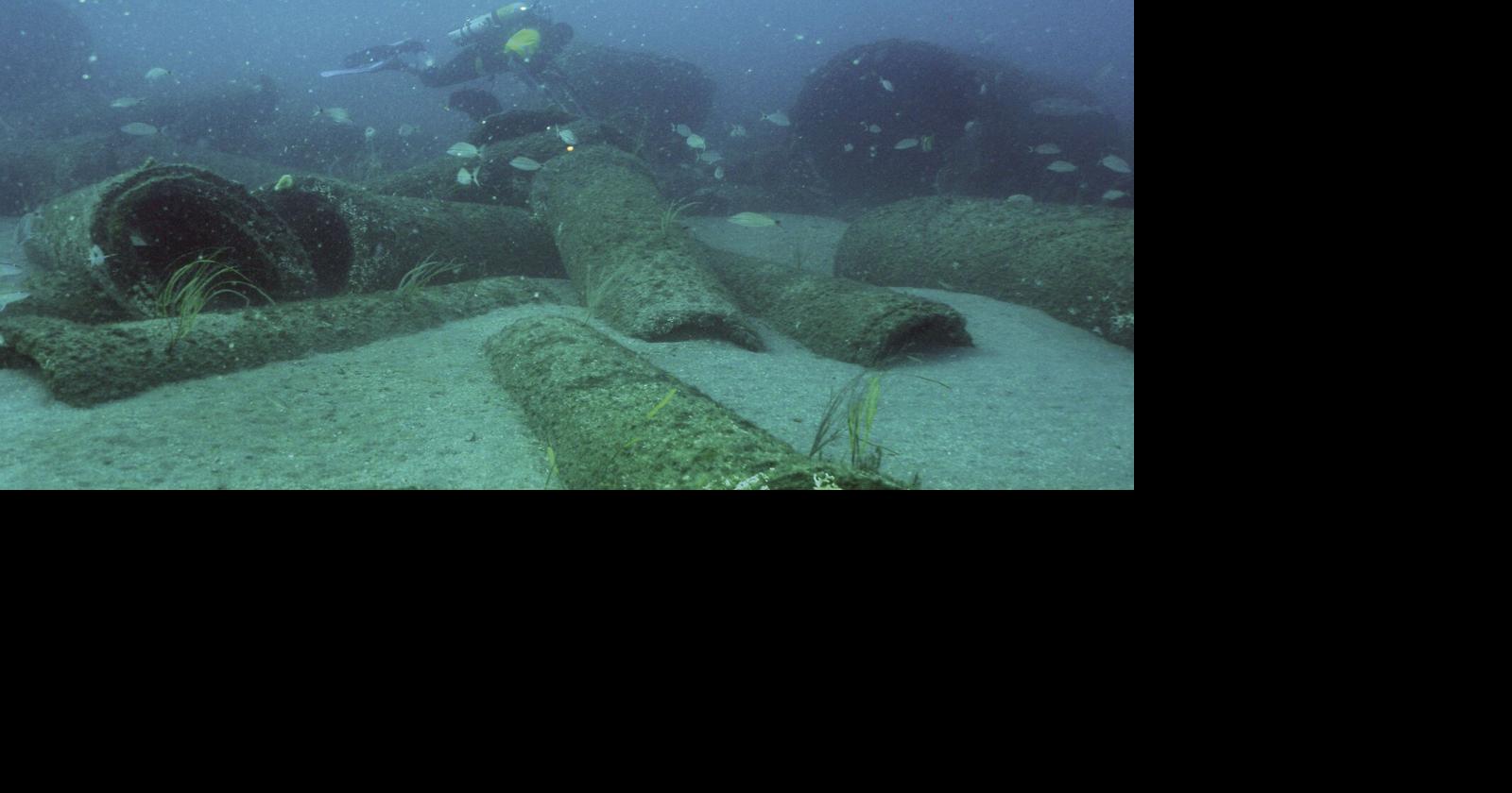 A Different School Of Fish Off New Smyrna Beach News Hometownnewsvolusia Com