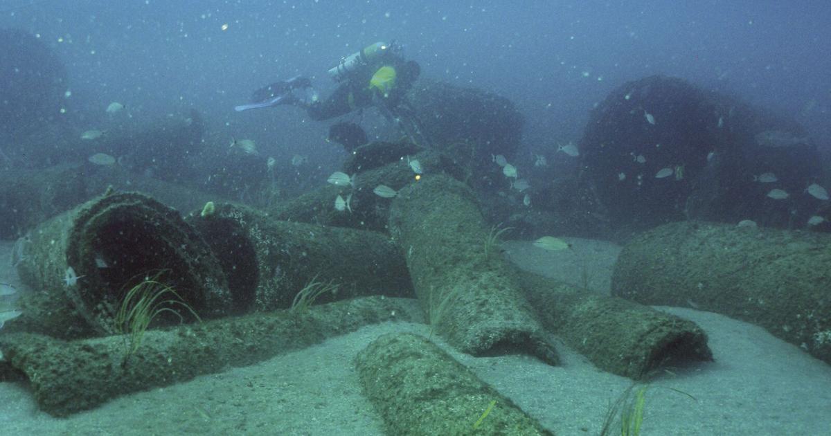 A Different School Of Fish Off New Smyrna Beach News Hometownnewsvolusia Com A Different School Of Fish Off New Smyrna Beach News Hometownnewsvolusia Com