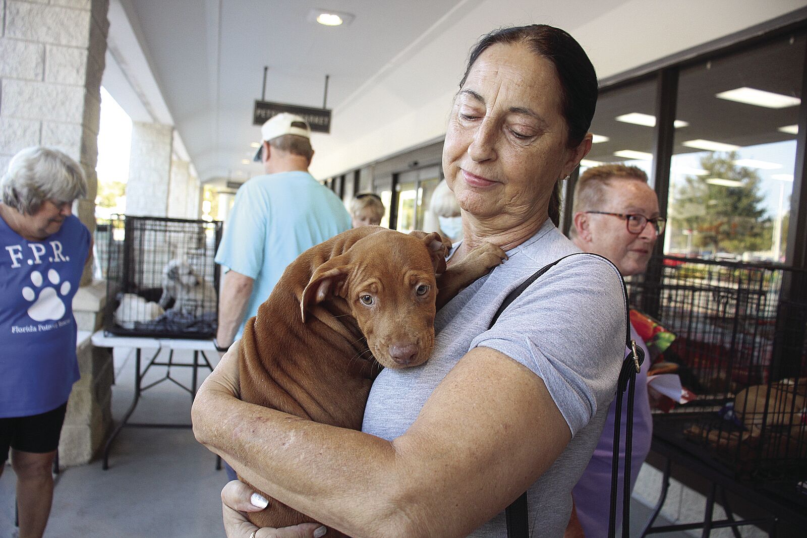 New smyrna hot sale humane society