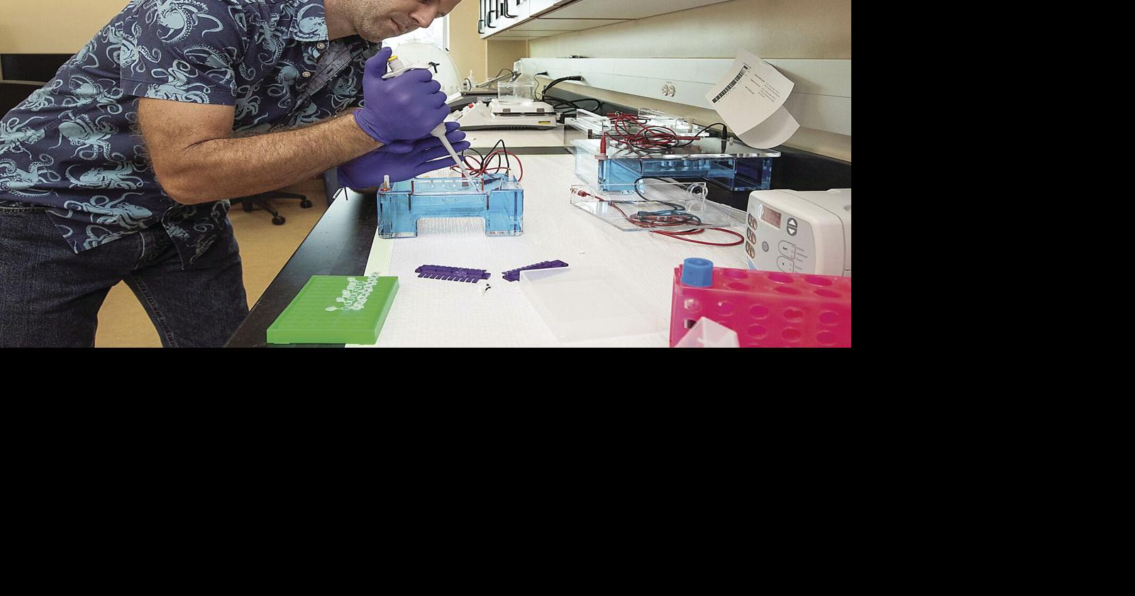 Method developed for detecting DNA of invasive snakes | News ...