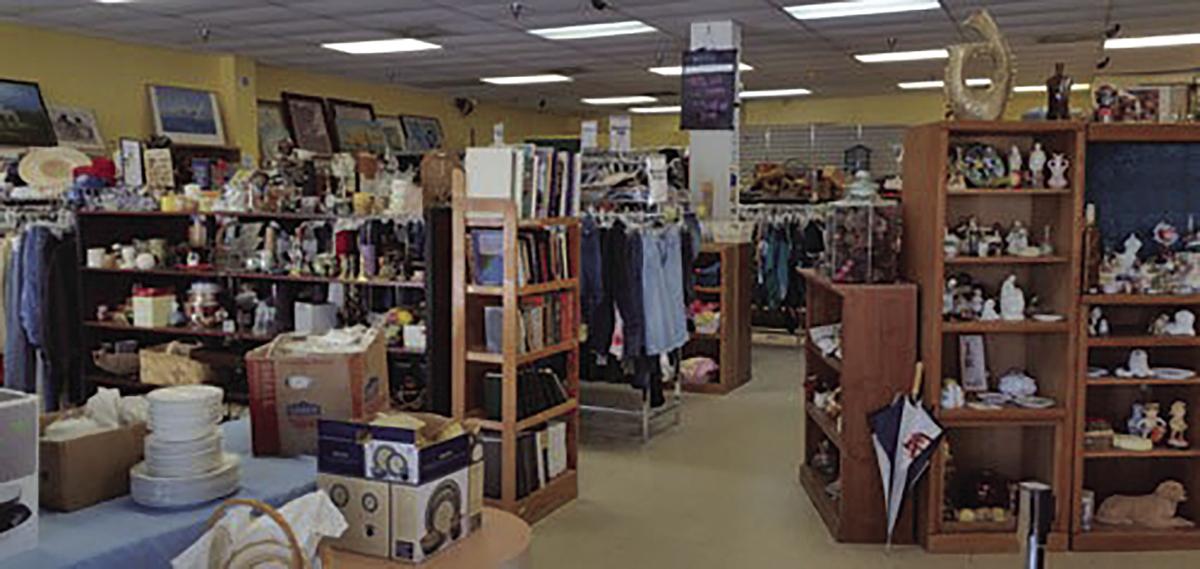Halifax Humane Society Thrift Store Pets Ormond Beach Fl Hometownnewsvolusia Com