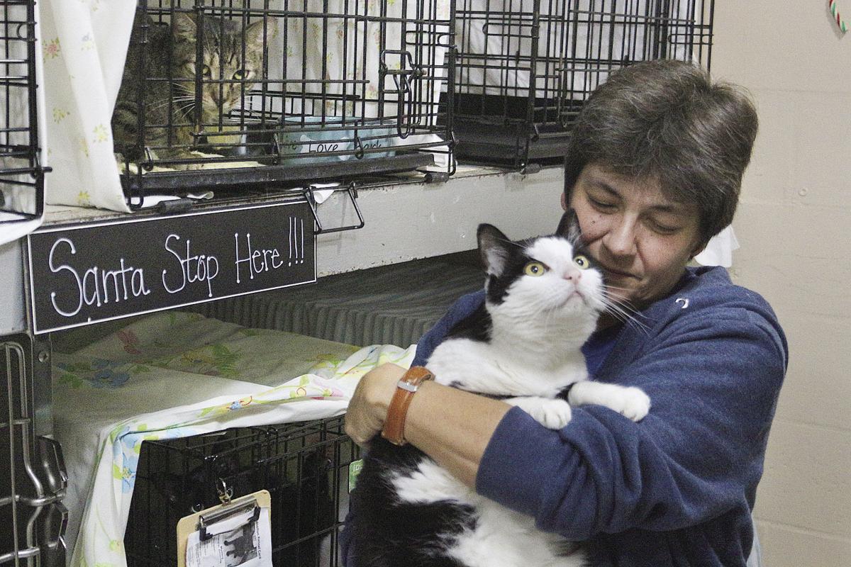 Animal Shelters Operating But Need Help News