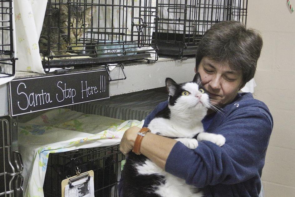 Animal Shelters Operating But Need Help News