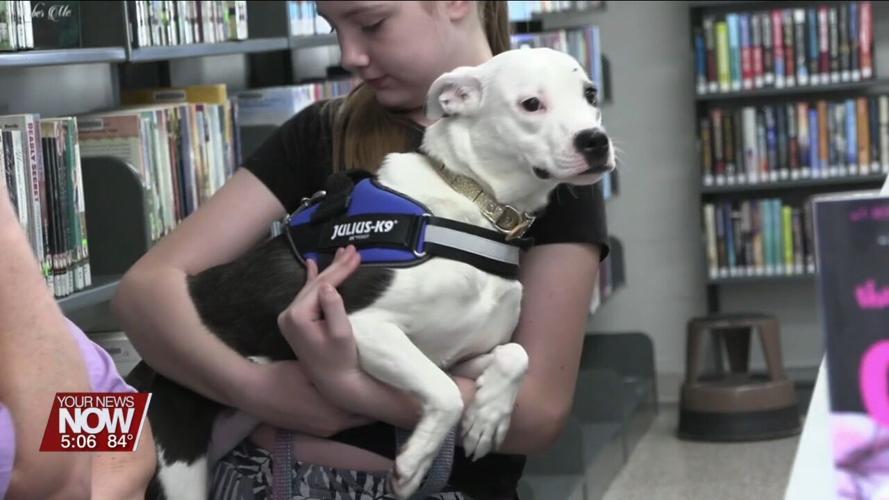 Volunteers from Deb's Dogs chat with kids at Cairo library about animal rescue and responsible ownership