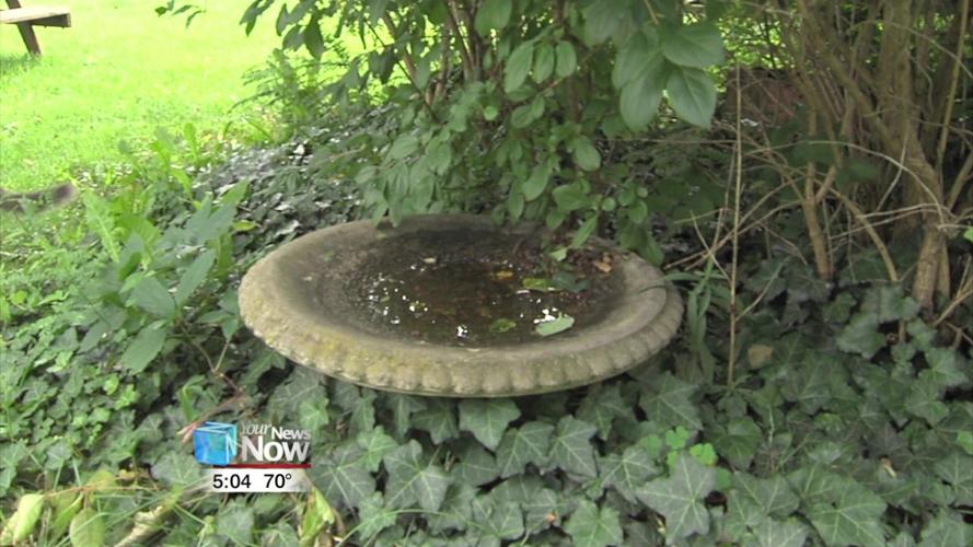 Standing water could mean more mosquitoes 1.jpg