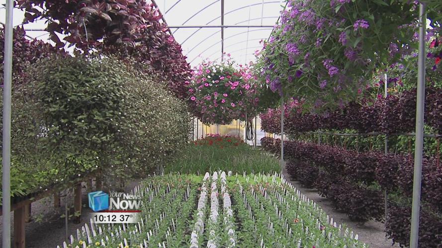 Local greenhouse still set to open with new protocol