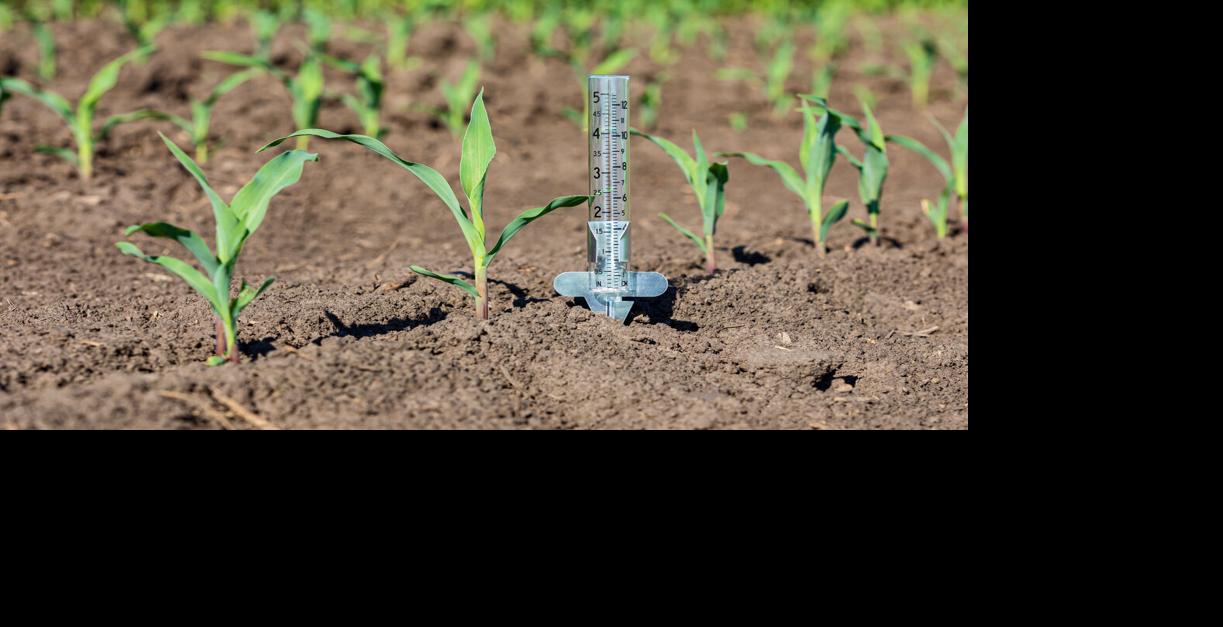 Rain Gauge Farming Generic