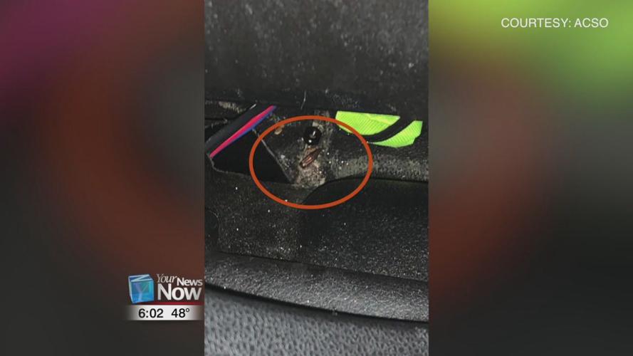 Stray bullet from New Year celebratory fire ricochets into sheriff's cruiser