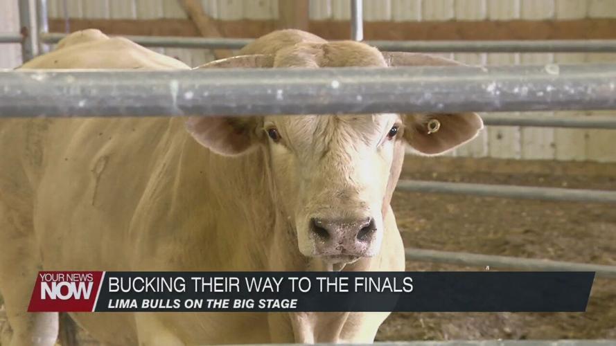 Lima to be represented by two bulls at PBR World Finals