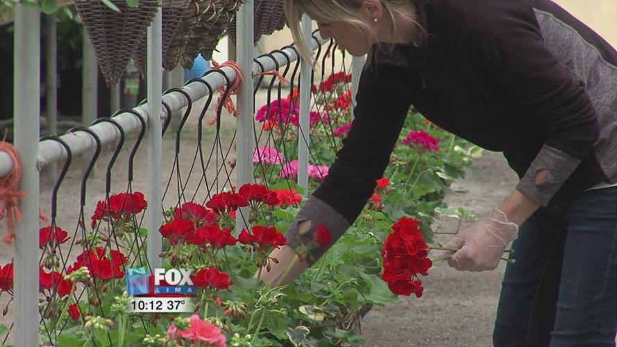 Local greenhouse still set to open with new protocol
