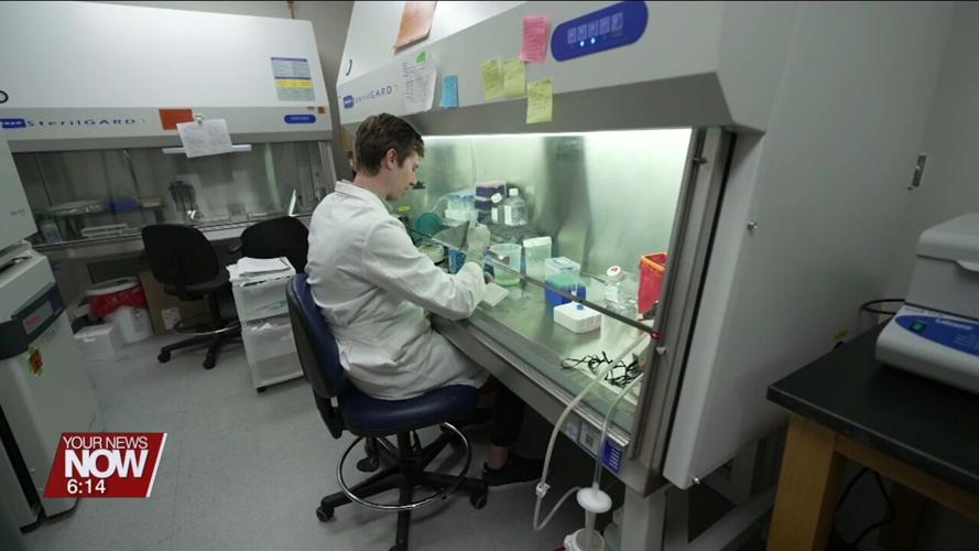 Discovery holds promise to restore function in people with paralysis and neurological diseases