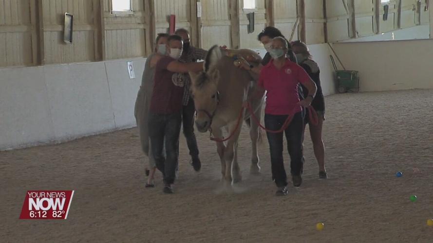 Allen Lima Leadership work on team-building at Fassett Farm