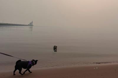 Canadian Wildfires Smoke