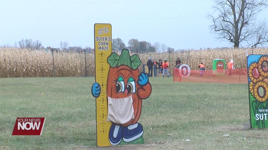 Suters corn maze offers sense of fall normalcy for local families