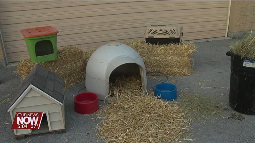 Keep pet safety in mind as the cold arrives