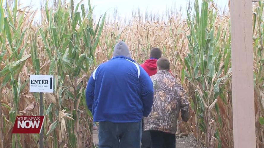 Suters corn maze offers sense of fall normalcy for local families