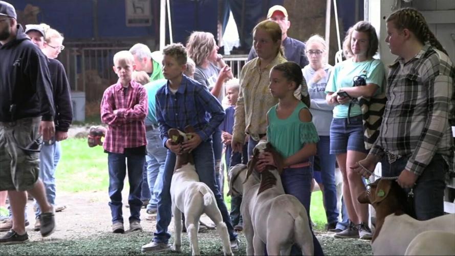 4-H Spotight: Mentoring a future champion