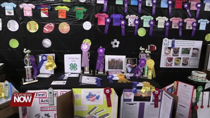 Junior fair exhibitors at the Auglaize County Fair showcase their skills and well-earned ribbons