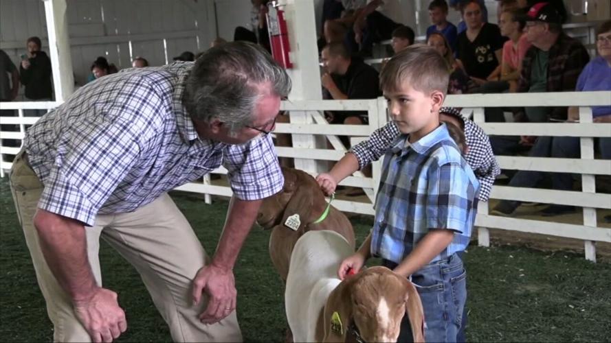 4-H Spotight: Mentoring a future champion