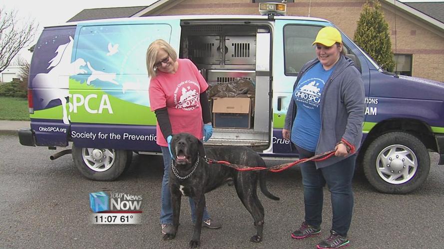 Ohio SPCA and Humane Society in Lima gives out free dog food to those in need