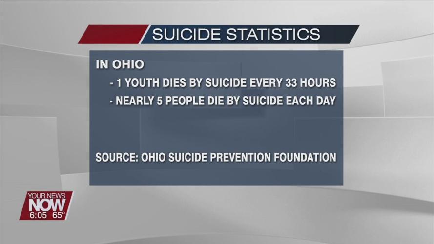 Suicide is leading cause of death in children age 10-14 years of age