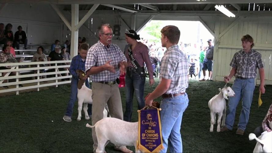 4-H Spotight: Mentoring a future champion