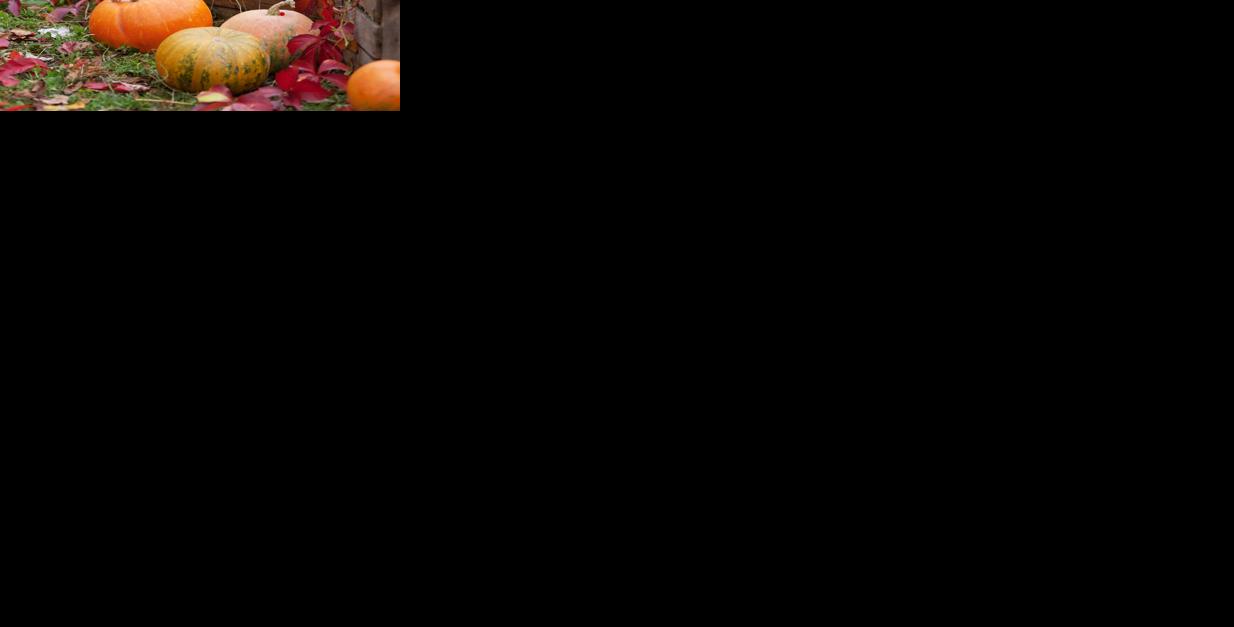 Pumpkins Fall Generic