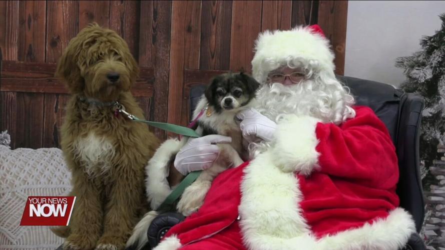 A Lotta Love Pet Rescue helping fund spay/neuter project with holiday pictures