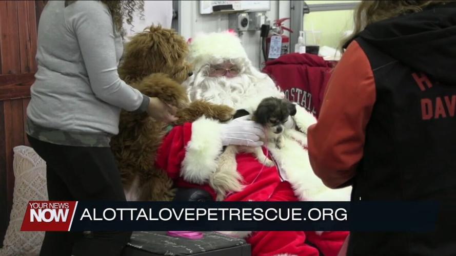 A Lotta Love Pet Rescue helping fund spay/neuter project with holiday