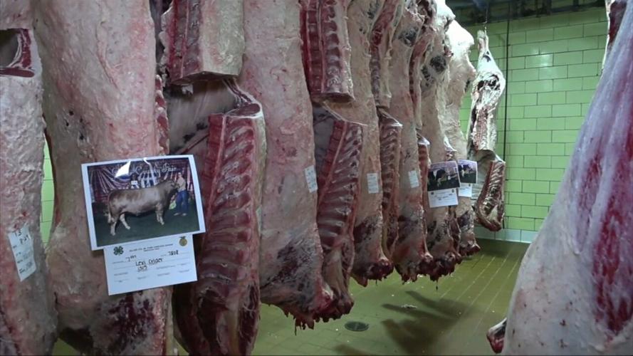OSU Animal Science Dept. describe what they look for when judging the Kewpee Carcass Show