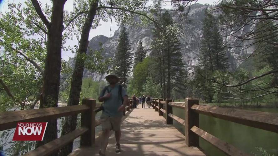 AAA recommends to start planning for vacations now